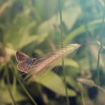 An Ideal Marriage: Basic and Clinical Research in Chronobiology