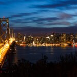 The Ecological Impacts of Light at Night