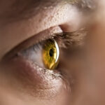 What the Eye Tells the Brain