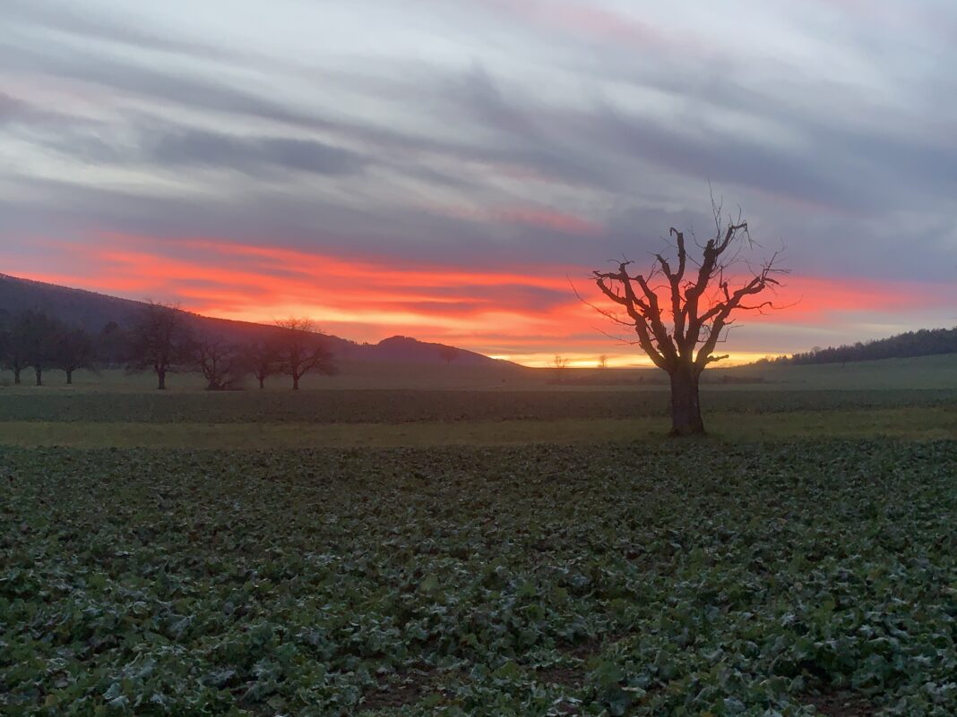 CH-SO-Mariastein-Metzerlen Abendrot Gutzbache IMG_2373