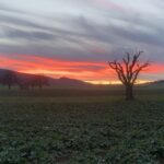 The Timing of Sunrise Within U.S. Time Zones . . . and SAD