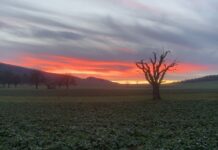 The Timing of Sunrise Within U.S. Time Zones . . . and SAD