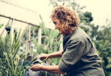 What are the boundaries of environmental therapeutics?