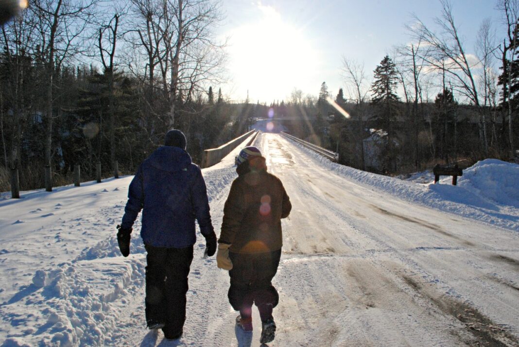 Chase Away the Winter Blues with a Walk in the Garden
