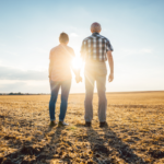 Afternoon light: the key for more restful sleep in older adults